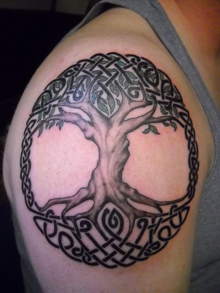 Celtic Tree of Life Tattoo Ideas - Riccda