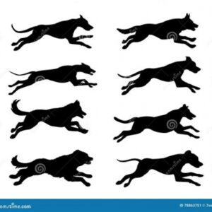 Tattoo Ideas for Dog Silhouette Running Tattoo Ideas for Dog Silhouette Running
