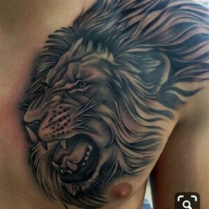 Lion Chest Tattoo Ideas for Men Lion Chest Tattoo Ideas for Men